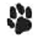 Hakuna Matata Dogs logo