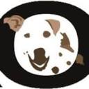 ROKA Hundehotel-Dolder logo