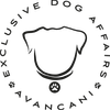 Hundephysio Zürich logo