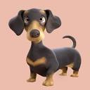 My Dog Company GmbH – Wollishofen logo